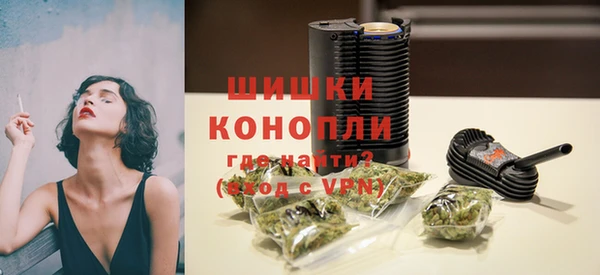 амф Пересвет