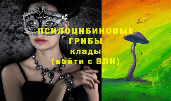 амф Пересвет