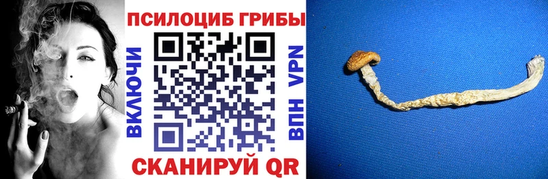Галлюциногенные грибы мухоморы  Ядрин 